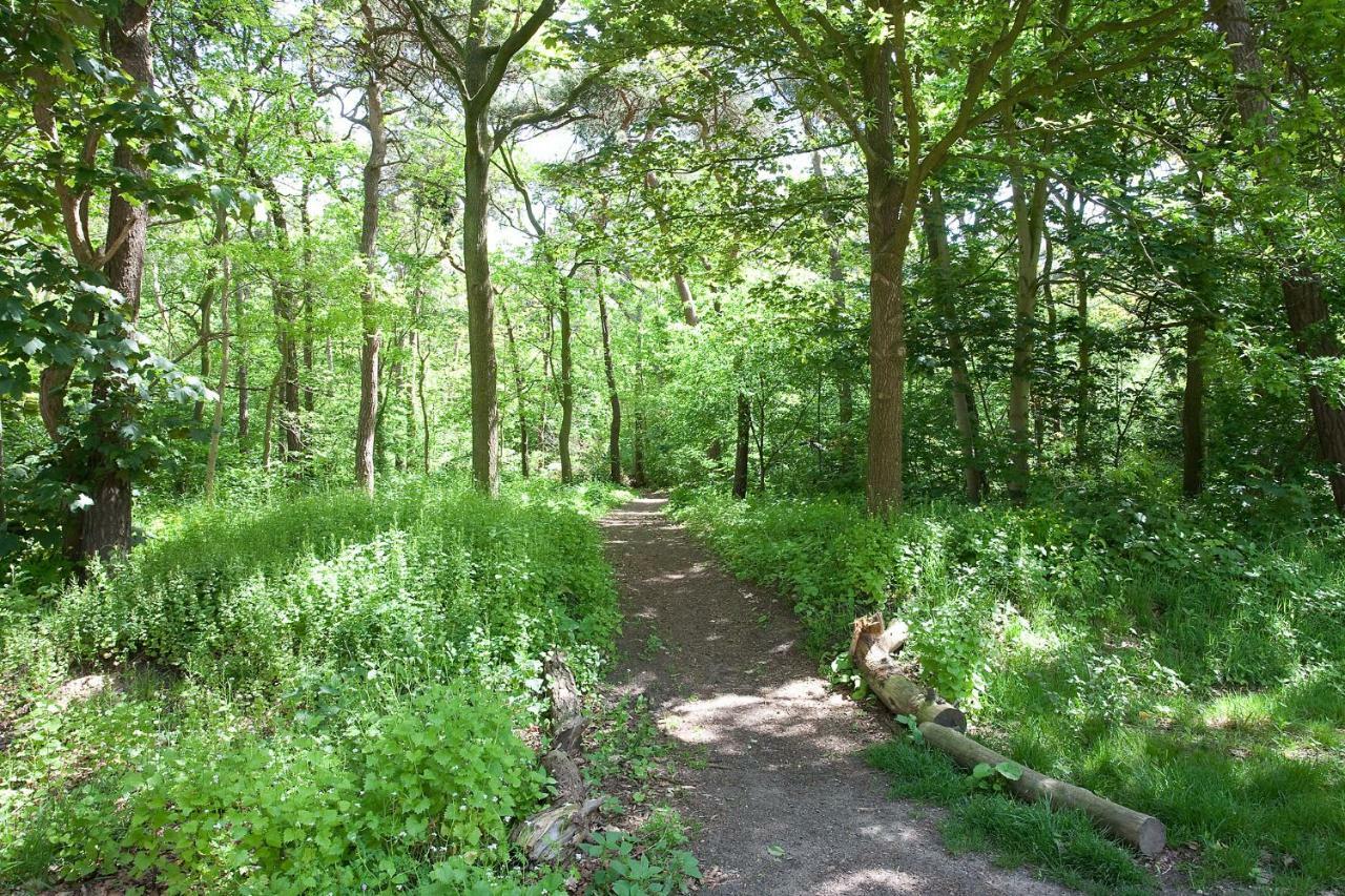 Betonnen Boshuis Oosterhout (North Brabant) Exterior foto